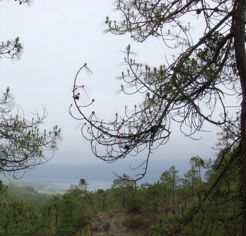 茶馬古道遠眺拉市海.jpg
