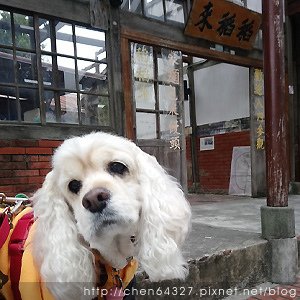 2018-12-31-018 拷貝.jpg