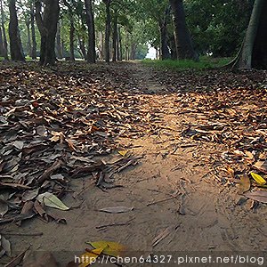 2023年10月份老倆口生活雜記(小米乳牙小犬颱風國慶連假B