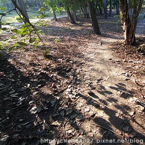 2023年10月份老倆口生活雜記(小米乳牙小犬颱風國慶連假B