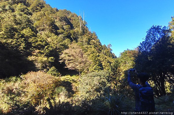 2023-11-10(五)-老倆口阿里山2日行-第二天特富野