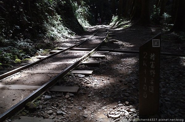 2023-11-10(五)-老倆口阿里山2日行-第二天特富野