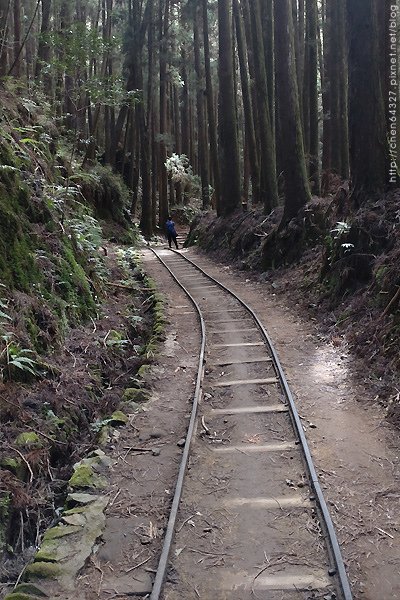 2023-11-10(五)-老倆口阿里山2日行-第二天特富野