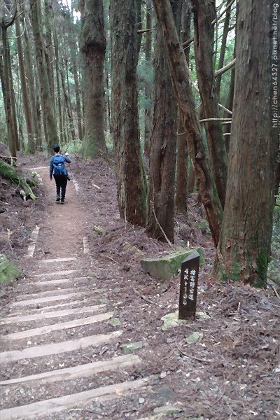 2023-11-10(五)-老倆口阿里山2日行-第二天特富野