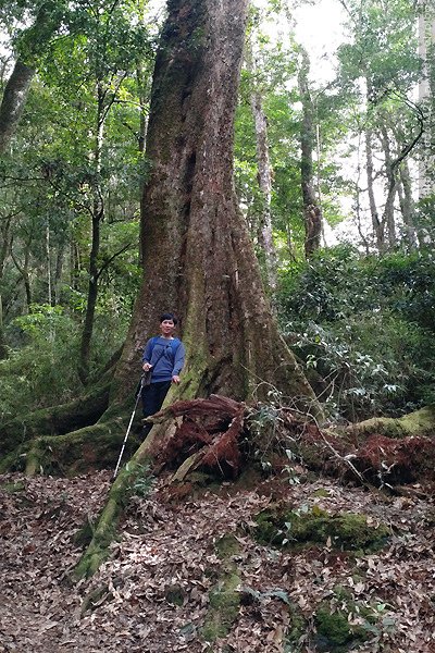 2023-11-10(五)-老倆口阿里山2日行-第二天特富野