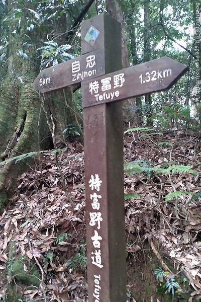 2023-11-10(五)-老倆口阿里山2日行-第二天特富野