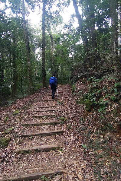 2023-11-10(五)-老倆口阿里山2日行-第二天特富野