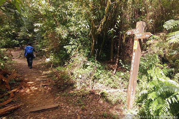 2023-11-10(五)-老倆口阿里山2日行-第二天特富野