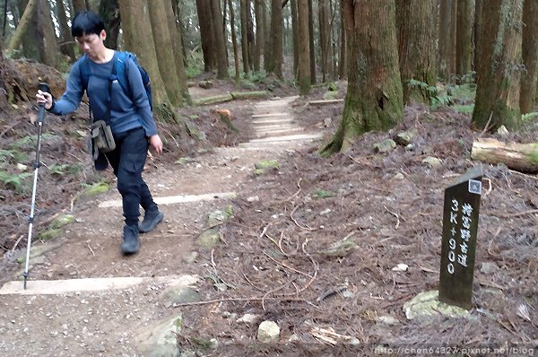 2023-11-10(五)-老倆口阿里山2日行-第二天特富野