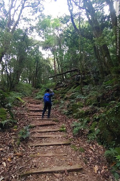 2023-11-10(五)-老倆口阿里山2日行-第二天特富野