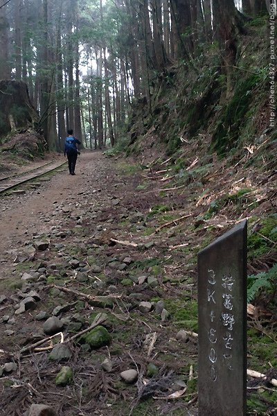 2023-11-10(五)-老倆口阿里山2日行-第二天特富野