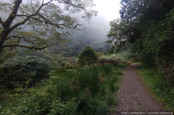 2023-11-10(五)-老倆口阿里山2日行-第二天特富野