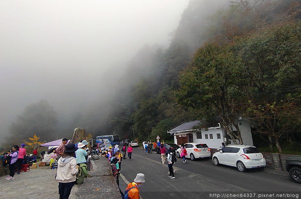 2023-11-10(五)-老倆口阿里山2日行-第二天特富野