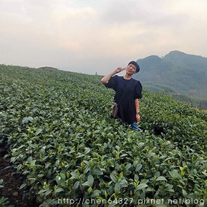 2023年11月份老倆口生活雜記(將軍區青鯤鯓扇形鹽田倒立水