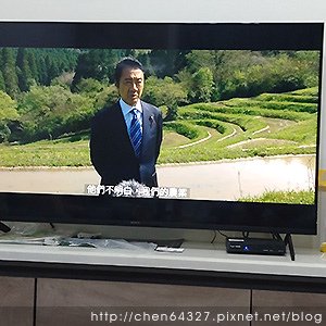 2024年5月份老倆口生活雜記(員林肉圓黃氏蝦捲不夠善良的我