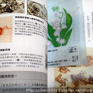 2024年6月份老倆口生活雜記(汽車保養新登山杖柚子辣椒粉輝