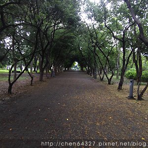 2024年6月份老倆口生活雜記(汽車保養新登山杖柚子辣椒粉輝