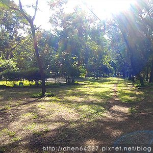 2024年6月份老倆口生活雜記(汽車保養新登山杖柚子辣椒粉輝