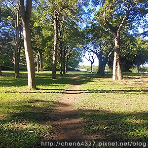 2024年7月份老倆口生活雜記(炒鍋藥物過敏皮膚科小米姐手洗