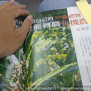 2024年7月份老倆口生活雜記(炒鍋藥物過敏皮膚科小米姐手洗