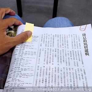 2024年9月份老倆口生活雜記(老倆口交往33周年冰糖銀耳蓮