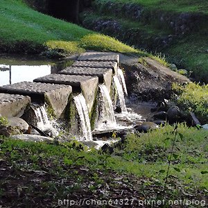 2024年9月份老倆口生活雜記(老倆口交往33周年冰糖銀耳蓮