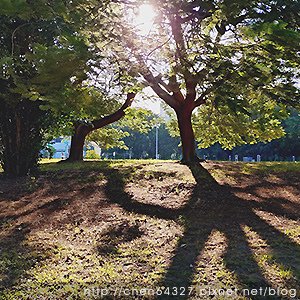 2024年10月份老倆口生活雜記(山陀兒颱風台南停班停課三天