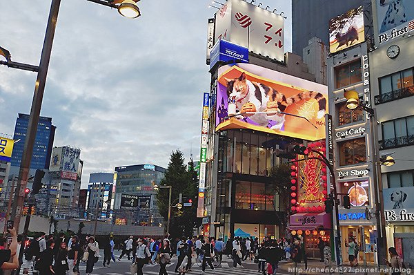 2024-10-17(四)老倆口日本東京第二次8日自由行第七