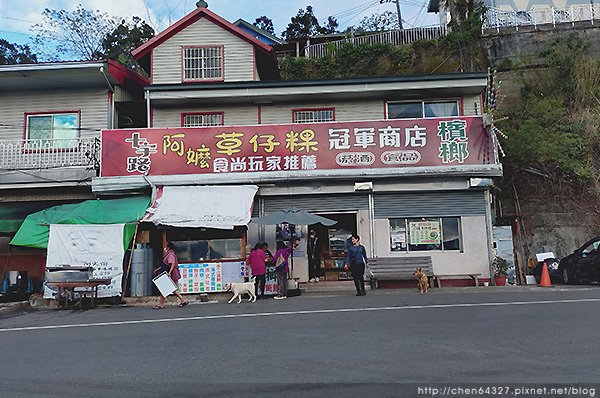 2024-11-23(六)老倆口-阿里山眠月線小冒險之旅