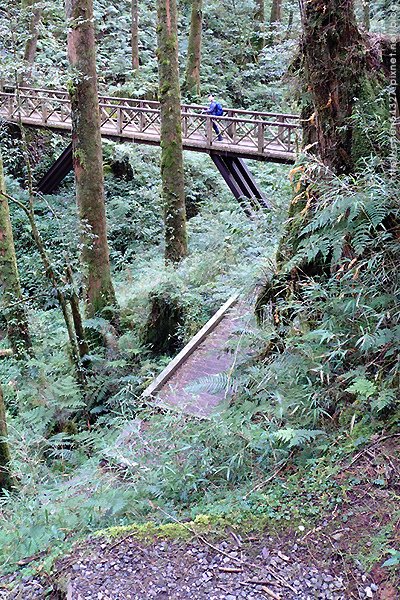 2024-11-23(六)老倆口-阿里山眠月線小冒險之旅