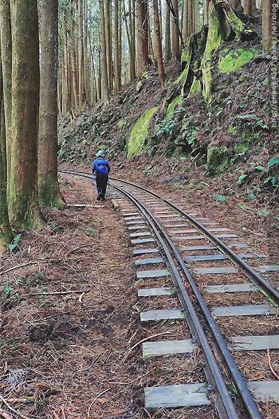 2024-11-23(六)老倆口-阿里山眠月線小冒險之旅