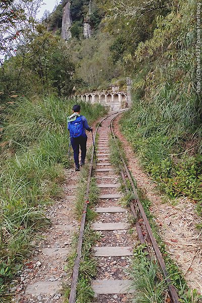 2024-11-23(六)老倆口-阿里山眠月線小冒險之旅