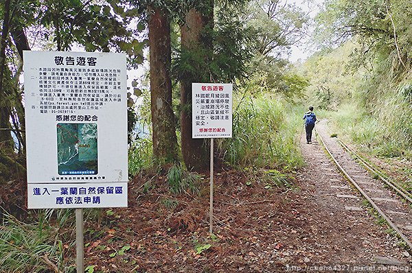 2024-11-23(六)老倆口-阿里山眠月線小冒險之旅