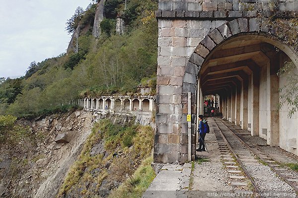 2024-11-23(六)老倆口-阿里山眠月線小冒險之旅