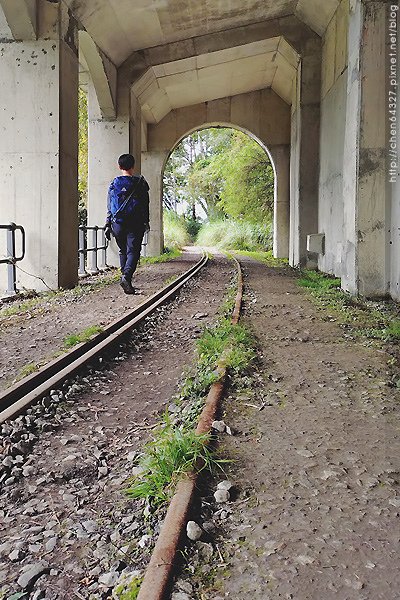 2024-11-23(六)老倆口-阿里山眠月線小冒險之旅