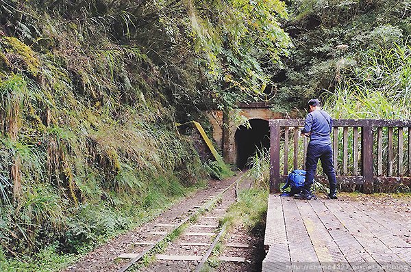 2024-11-23(六)老倆口-阿里山眠月線小冒險之旅