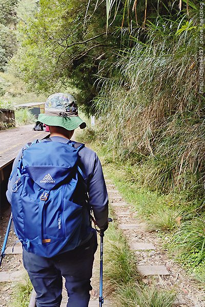 2024-11-23(六)老倆口-阿里山眠月線小冒險之旅