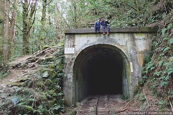 2024-11-23(六)老倆口-阿里山眠月線小冒險之旅