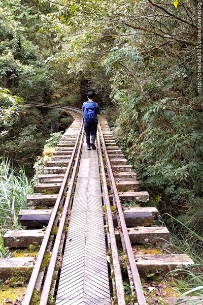 2024-11-23(六)老倆口-阿里山眠月線小冒險之旅