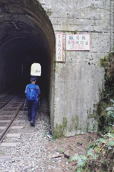 2024-11-23(六)老倆口-阿里山眠月線小冒險之旅