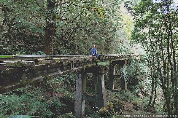 2024-11-23(六)老倆口-阿里山眠月線小冒險之旅