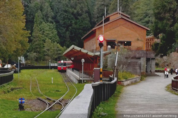 2024-11-23(六)老倆口-阿里山眠月線小冒險之旅