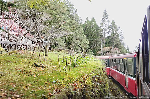 2024-11-23(六)老倆口-阿里山眠月線小冒險之旅