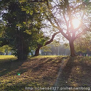 2024年12月份老倆口生活雜記(鴨母寮市場炭火麵韓國戒嚴路