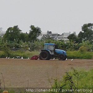 2024年12月份老倆口生活雜記(鴨母寮市場炭火麵韓國戒嚴路