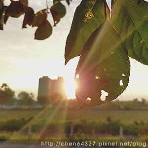 2024年12月份老倆口生活雜記(鴨母寮市場炭火麵韓國戒嚴路