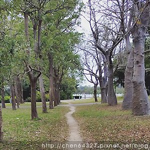 2025年元月份老倆口生活雜記(HAPPY NEW YEAR