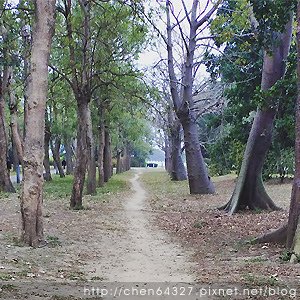 2025年2月份老倆口生活雜記(阿美飯店大S病逝武聖夜市山月