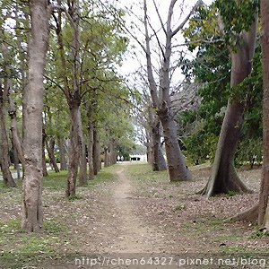 2025年2月份老倆口生活雜記(阿美飯店大S病逝武聖夜市山月