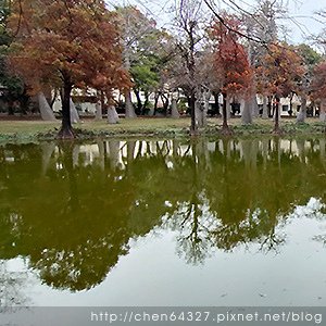 2025年2月份老倆口生活雜記(阿美飯店大S病逝武聖夜市山月